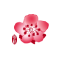 China Airlines (Dynasty Flyer)